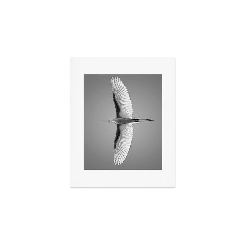 Wings of an Egret in Mid-flight black and white photography - black and white photographs Art Print Gallery Image 1
