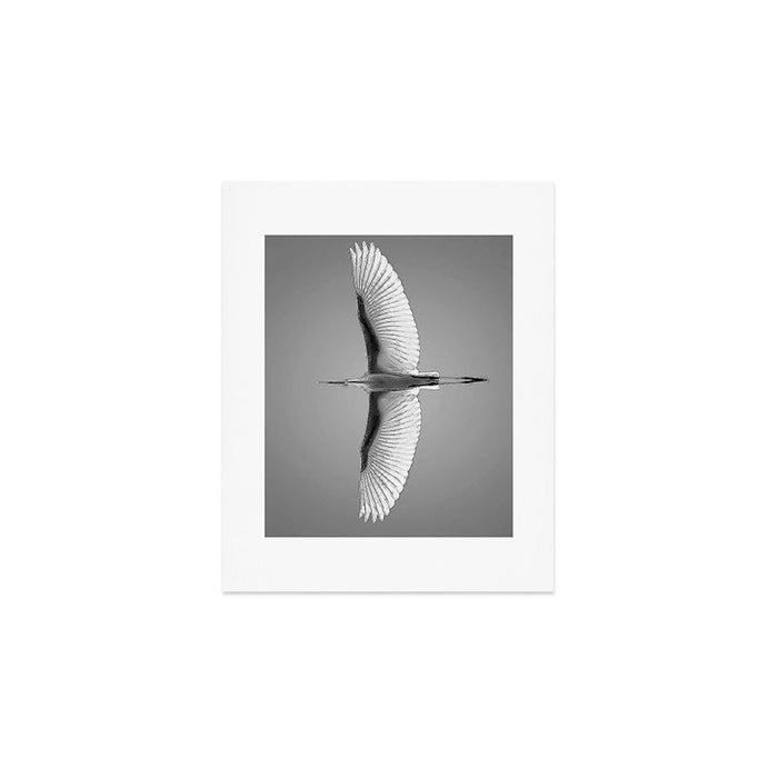 Wings of an Egret in Mid-flight black and white photography - black and white photographs Art Print Gallery Image 1