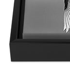 Wings of an Egret in Mid-flight black and white photography - black and white photographs Framed Canvas Print Gallery Image 3