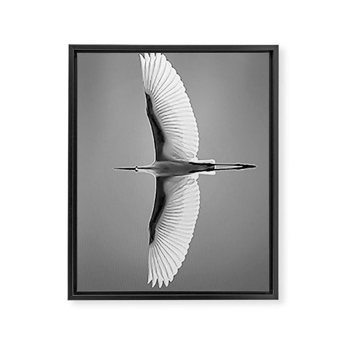 Wings of an Egret in Mid-flight black and white photography - black and white photographs Framed Canvas Print Gallery Image 1