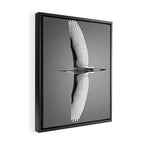Wings of an Egret in Mid-flight black and white photography - black and white photographs Framed Canvas Print Gallery Image 2