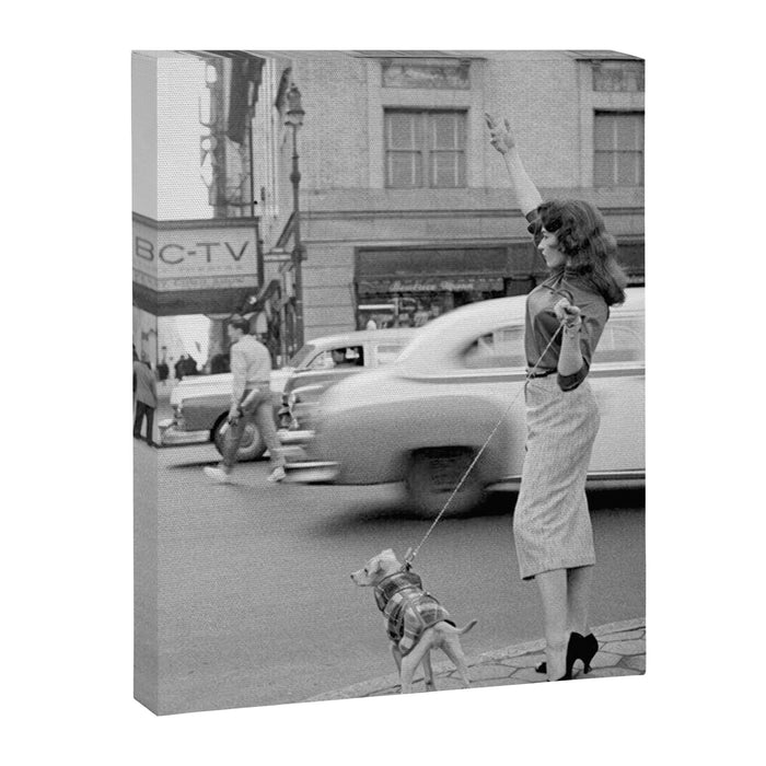 Young woman with pet dog hailing a yellow cab taxi New York City portrait black and white photograph - photography - photographs Canvas Print Gallery Image 1