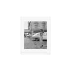 Young woman with pet dog hailing a yellow cab taxi New York City portrait black and white photograph - photography - photographs Art Print Gallery Image 1