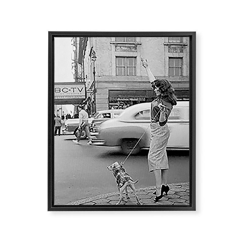Young woman with pet dog hailing a yellow cab taxi New York City portrait black and white photograph - photography - photographs Framed Canvas Print Gallery Image 8
