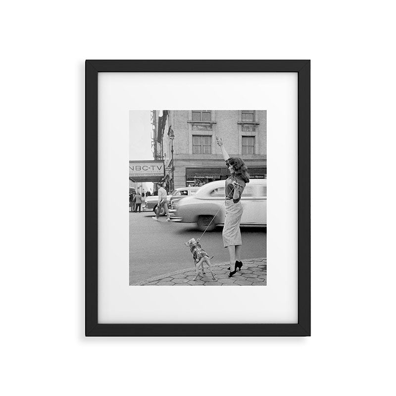 Young woman with pet dog hailing a yellow cab taxi New York City portrait black and white photograph - photography - photographs Framed Art Print Gallery Image 6