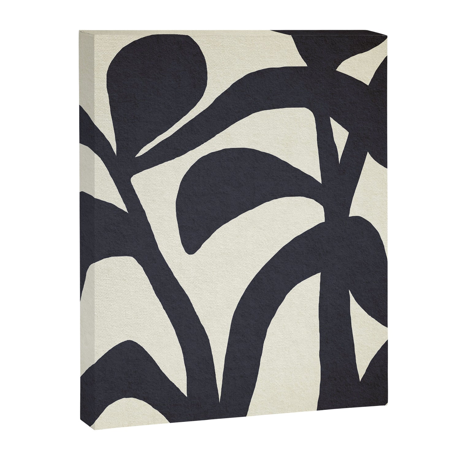 Abstract botanical - black  Canvas Print Gallery Image 3