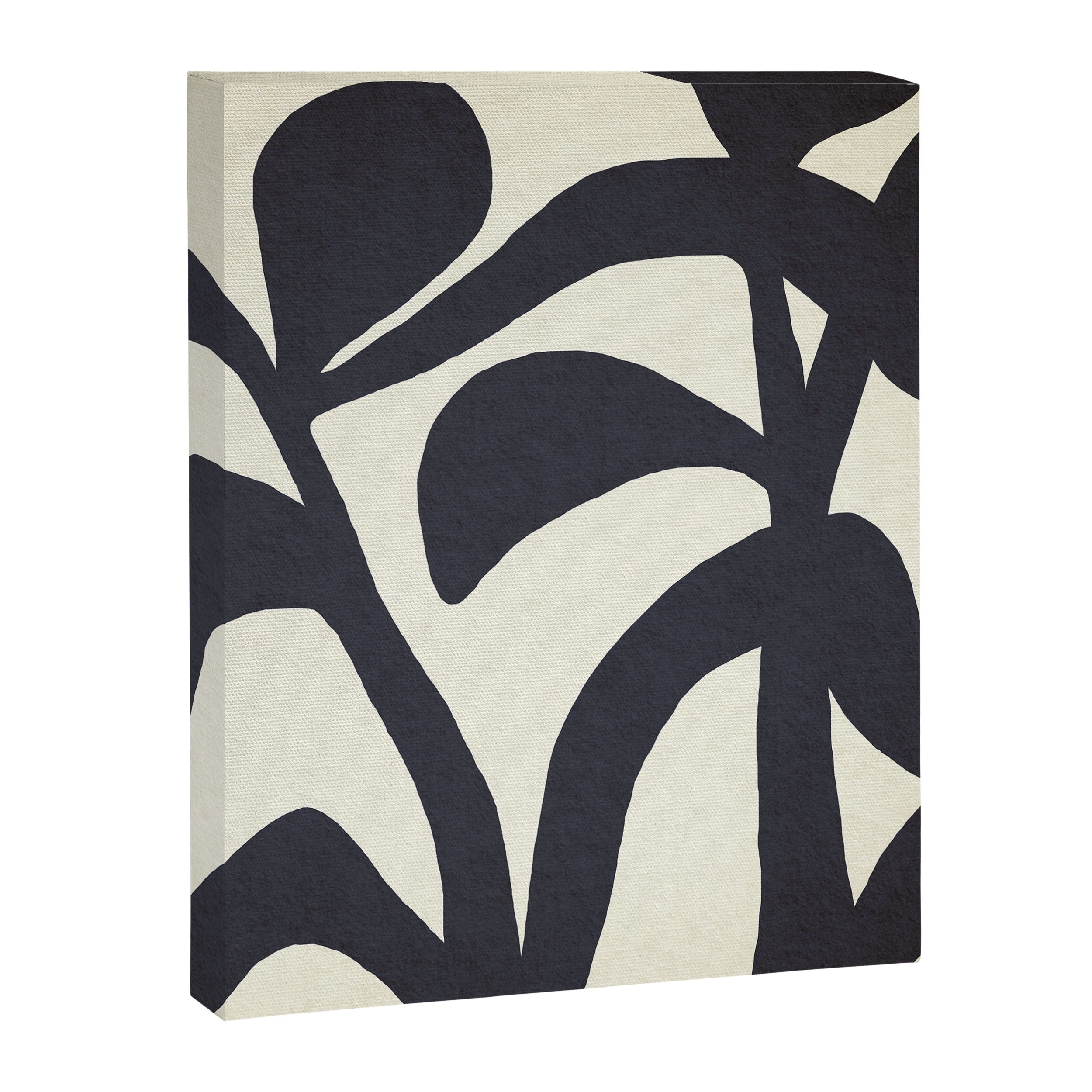 Abstract botanical - black  Canvas Print Gallery Image 3