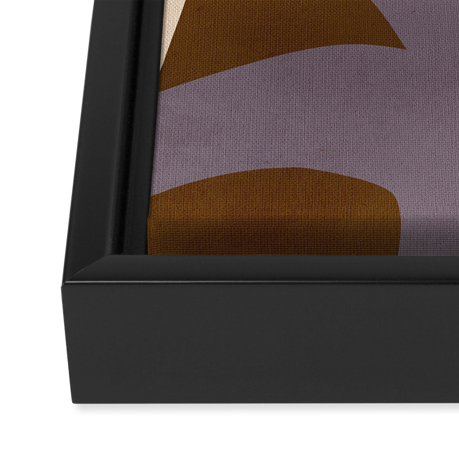 Abstract botanical X02 Framed Canvas Print Gallery Image 3