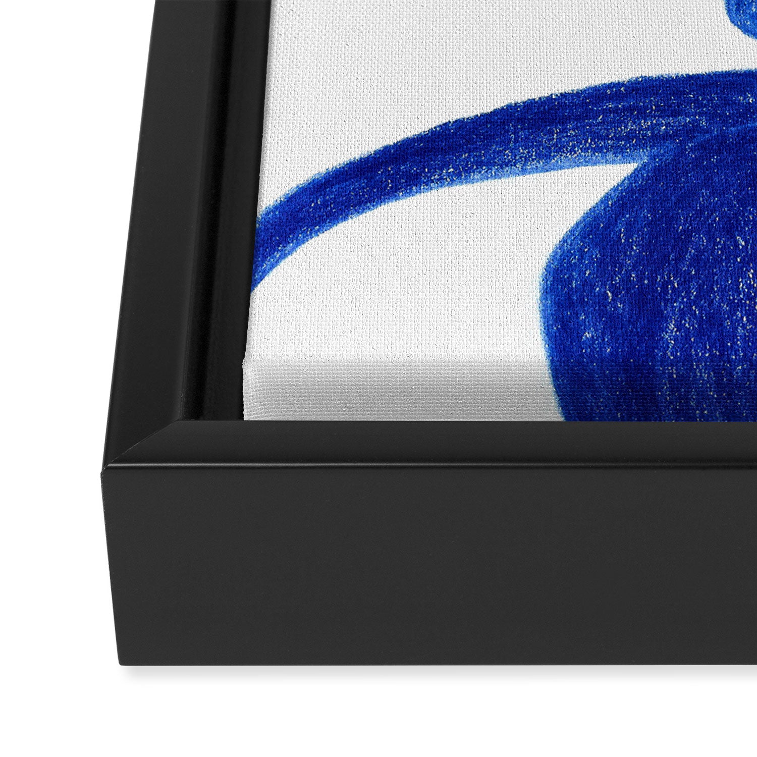 Plant blue  Framed Canvas Print Gallery Image 3