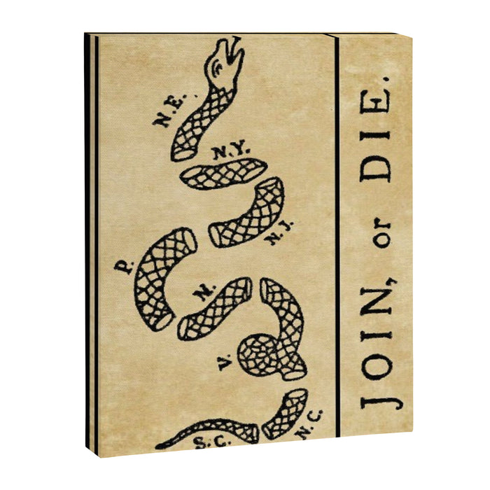 1776 "Join, or Die" Revolutionary War flag with 13 colonies, snake & no colors by Benjamin Franklin Canvas Print Gallery Image 1