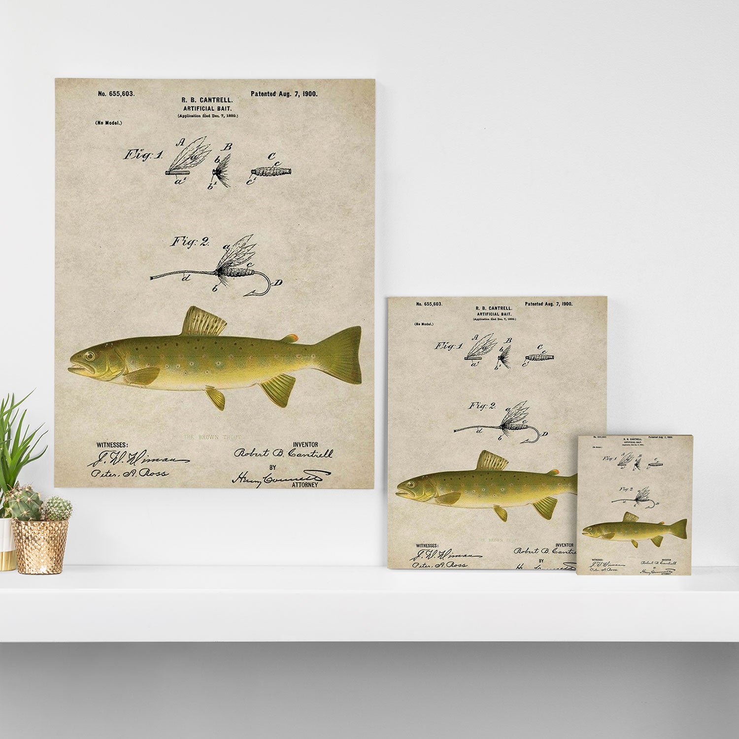Vintage Brown Trout Fly Fishing Lure Patent Game Fish Identification Chart Canvas Print Gallery Image 3