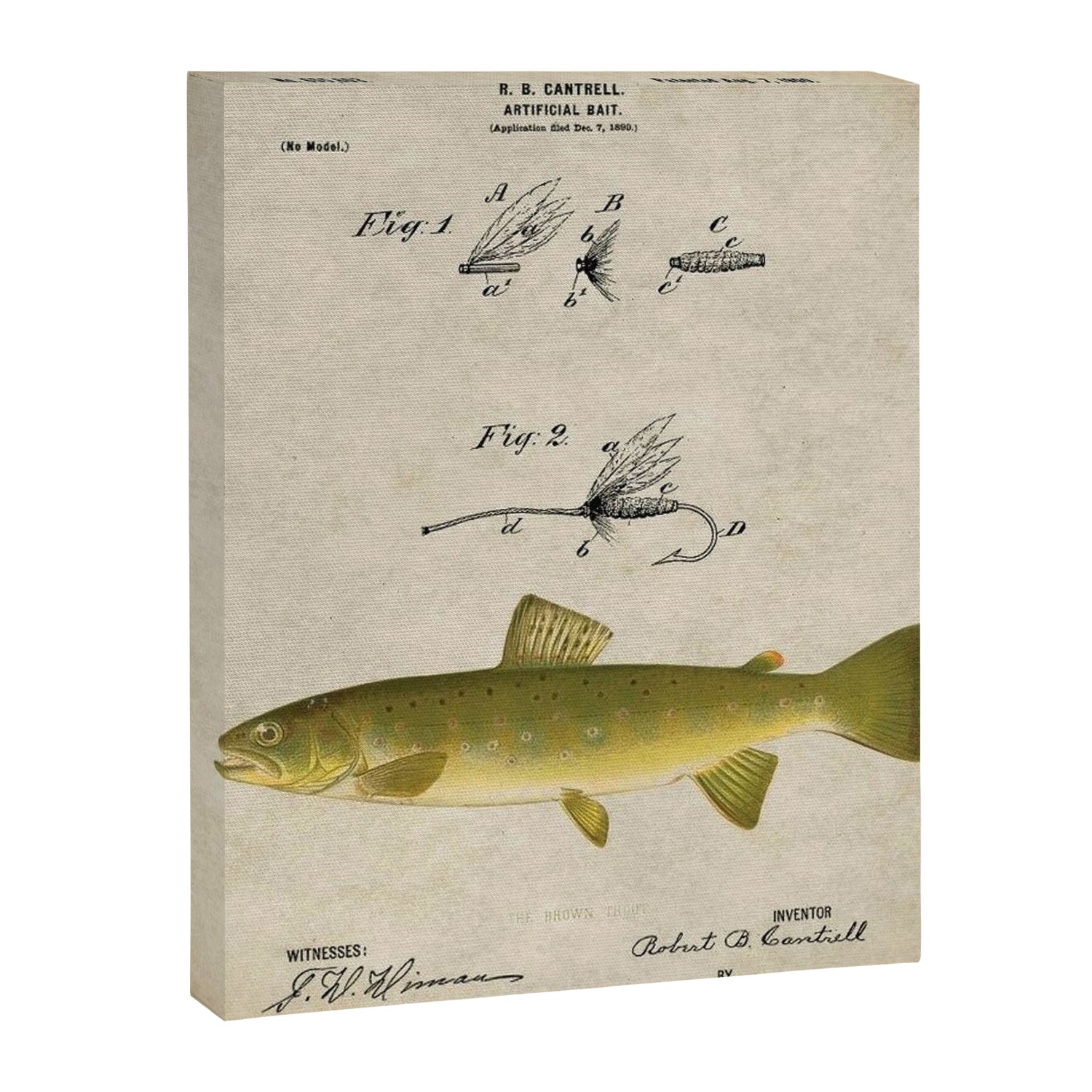 Vintage Brown Trout Fly Fishing Lure Patent Game Fish Identification Chart Canvas Print Gallery Image 3