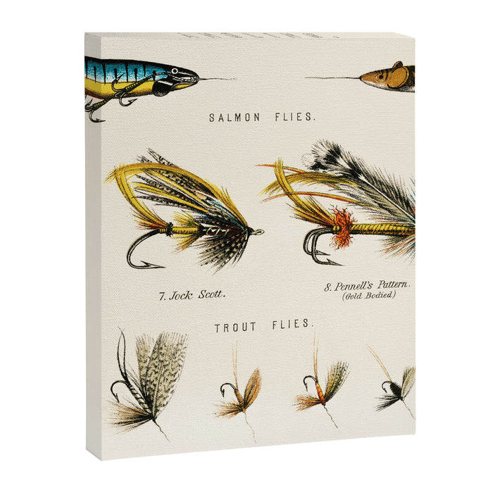 Illustrated Freshwater Fish Angling baits and fishing flies chart Canvas Print Gallery Image 1