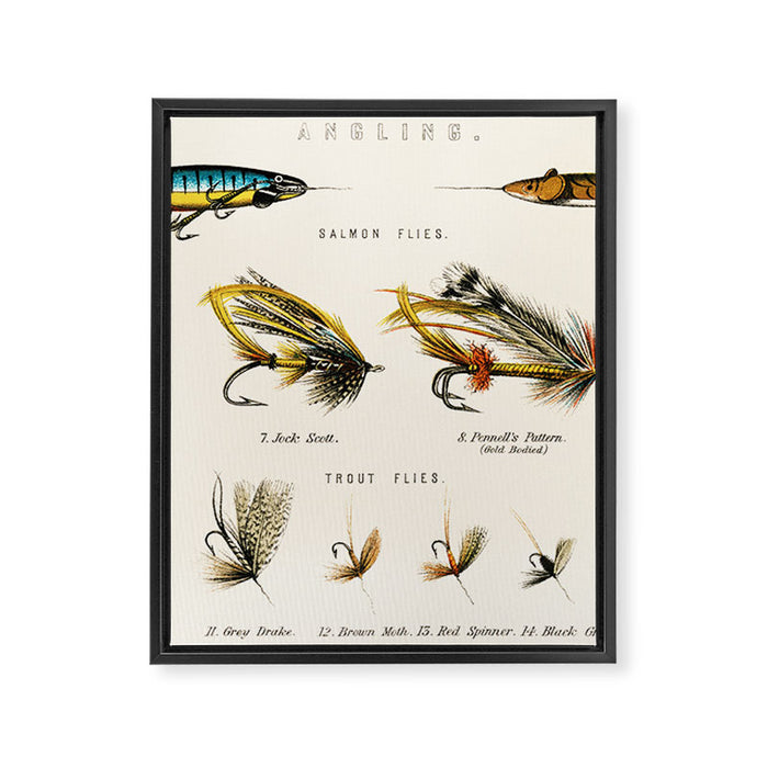 Illustrated Freshwater Fish Angling baits and fishing flies chart Framed Canvas Print Gallery Image 1