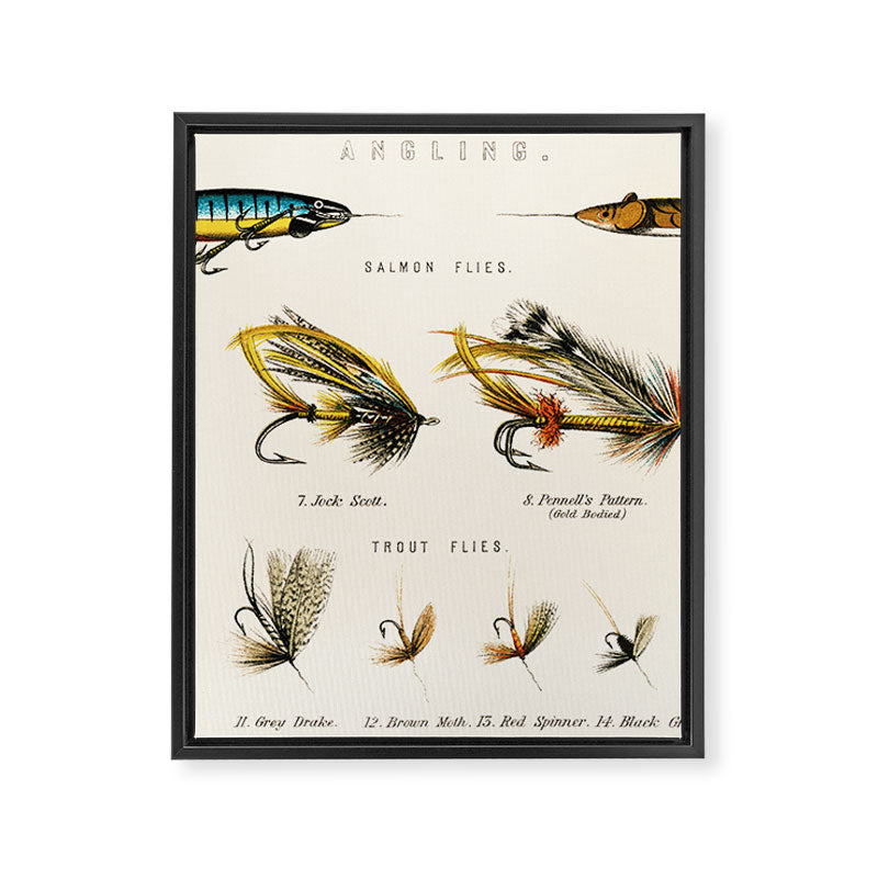 Illustrated Freshwater Fish Angling baits and fishing flies chart Framed Canvas Print Gallery Image 6