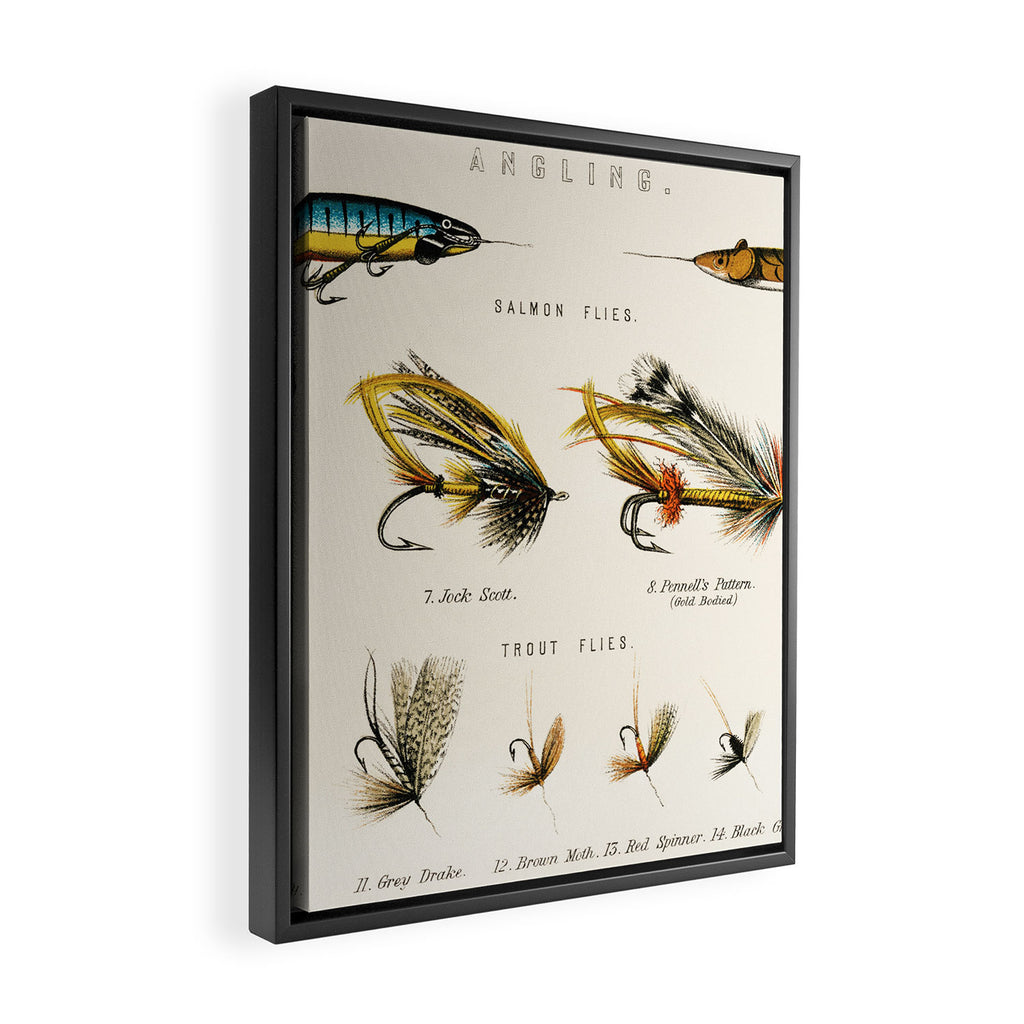 Illustrated Freshwater Fish Angling baits and fishing flies chart Framed Canvas Print Gallery Image 2