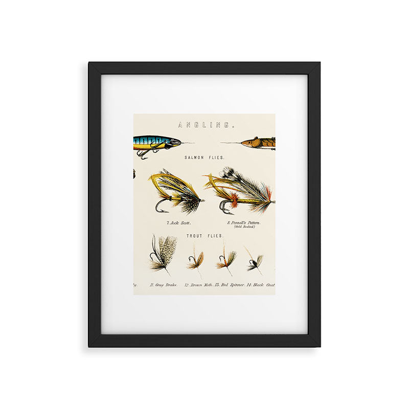 Illustrated Freshwater Fish Angling baits and fishing flies chart Framed Art Print Gallery Image 5