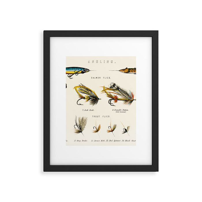 Illustrated Freshwater Fish Angling baits and fishing flies chart Framed Art Print Gallery Image 1