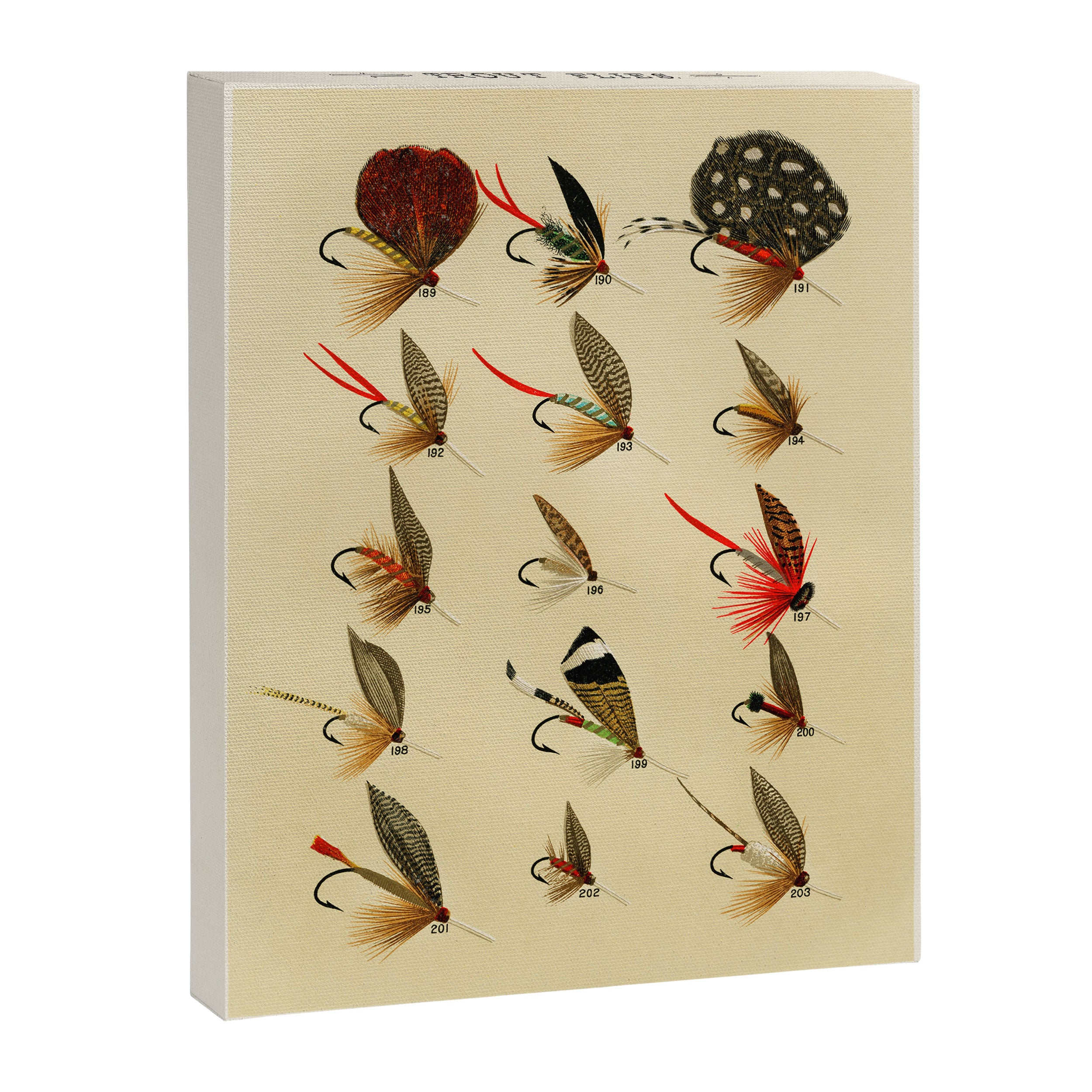 Illustrated Trout Fishing Flies Chart from Favorite Flies and Their Histories  Canvas Print Gallery Image 8