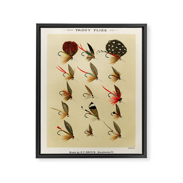 Illustrated Trout Fishing Flies Chart from Favorite Flies and Their Histories  Framed Canvas Print Gallery Image 1