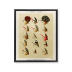 Illustrated Trout Fishing Flies Chart from Favorite Flies and Their Histories  Framed Canvas Print Gallery Image 8