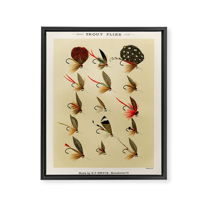 Illustrated Trout Fishing Flies Chart from Favorite Flies and Their Histories  Framed Canvas Print Gallery Image 8