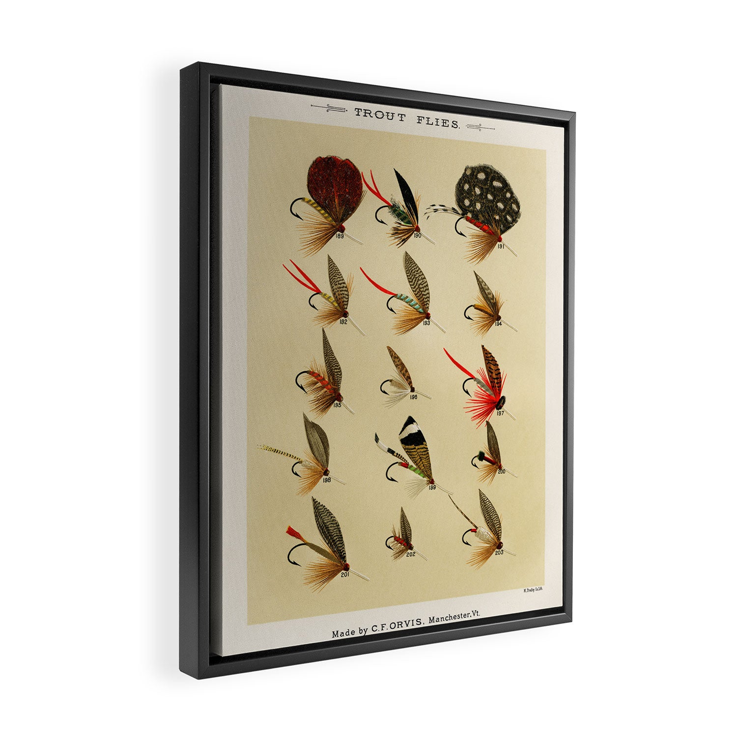 Illustrated Trout Fishing Flies Chart from Favorite Flies and Their Histories  Framed Canvas Print Gallery Image 2