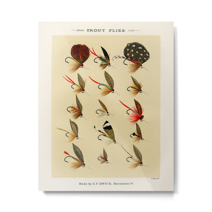 Illustrated Trout Fishing Flies Chart from Favorite Flies and Their Histories  Metal Print Gallery Image 1