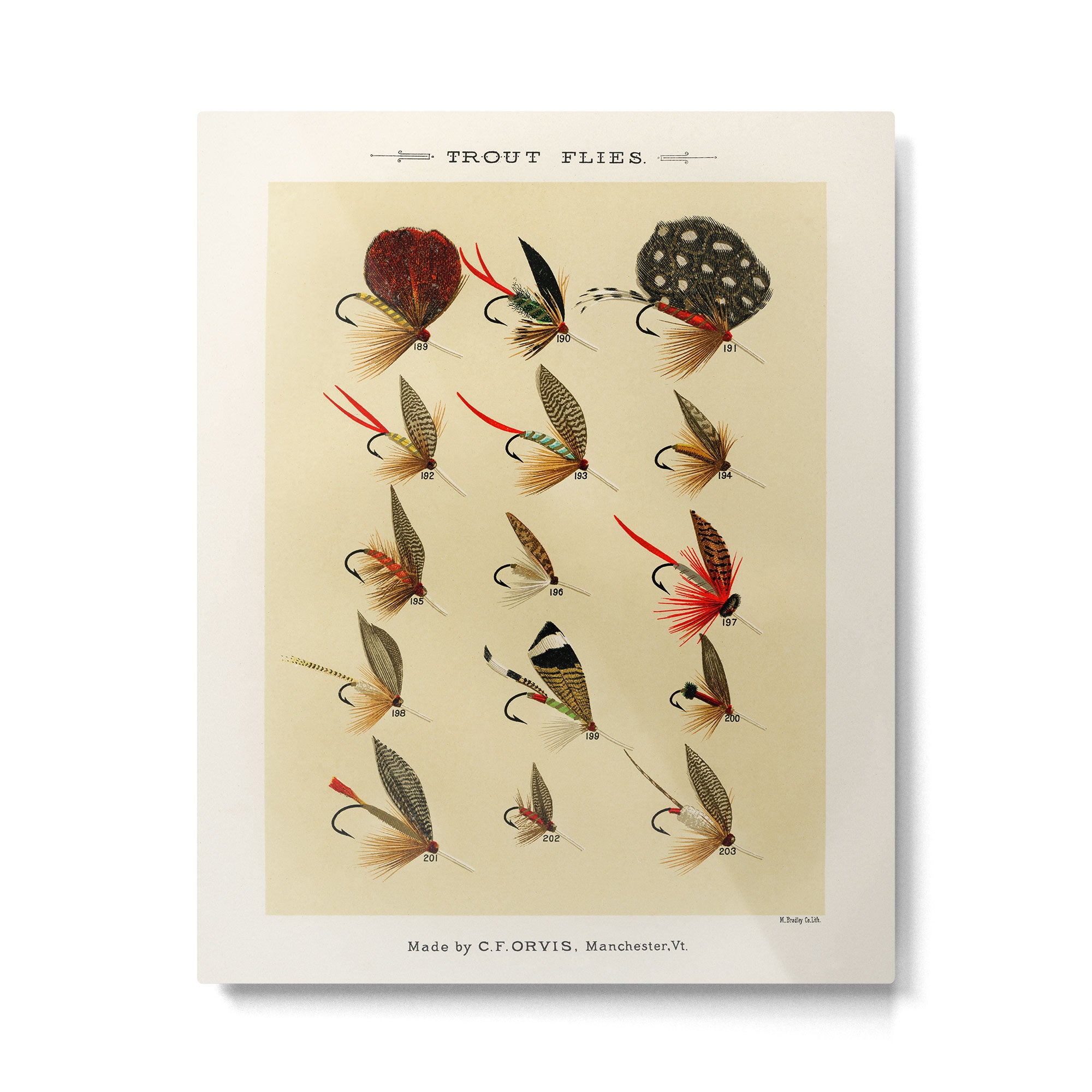 Illustrated Trout Fishing Flies Chart from Favorite Flies and Their Histories  Metal Print Gallery Image 6