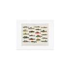 Illustrated North America Game Fish Identification Chart Art Print Gallery Image 1