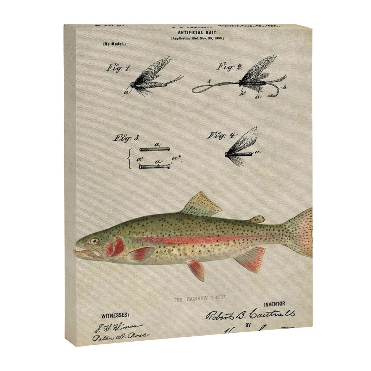 Vintage Rainbow Trout Fly Fishing Lure Patent Game Fish Identification Chart Canvas Print Gallery Image 8