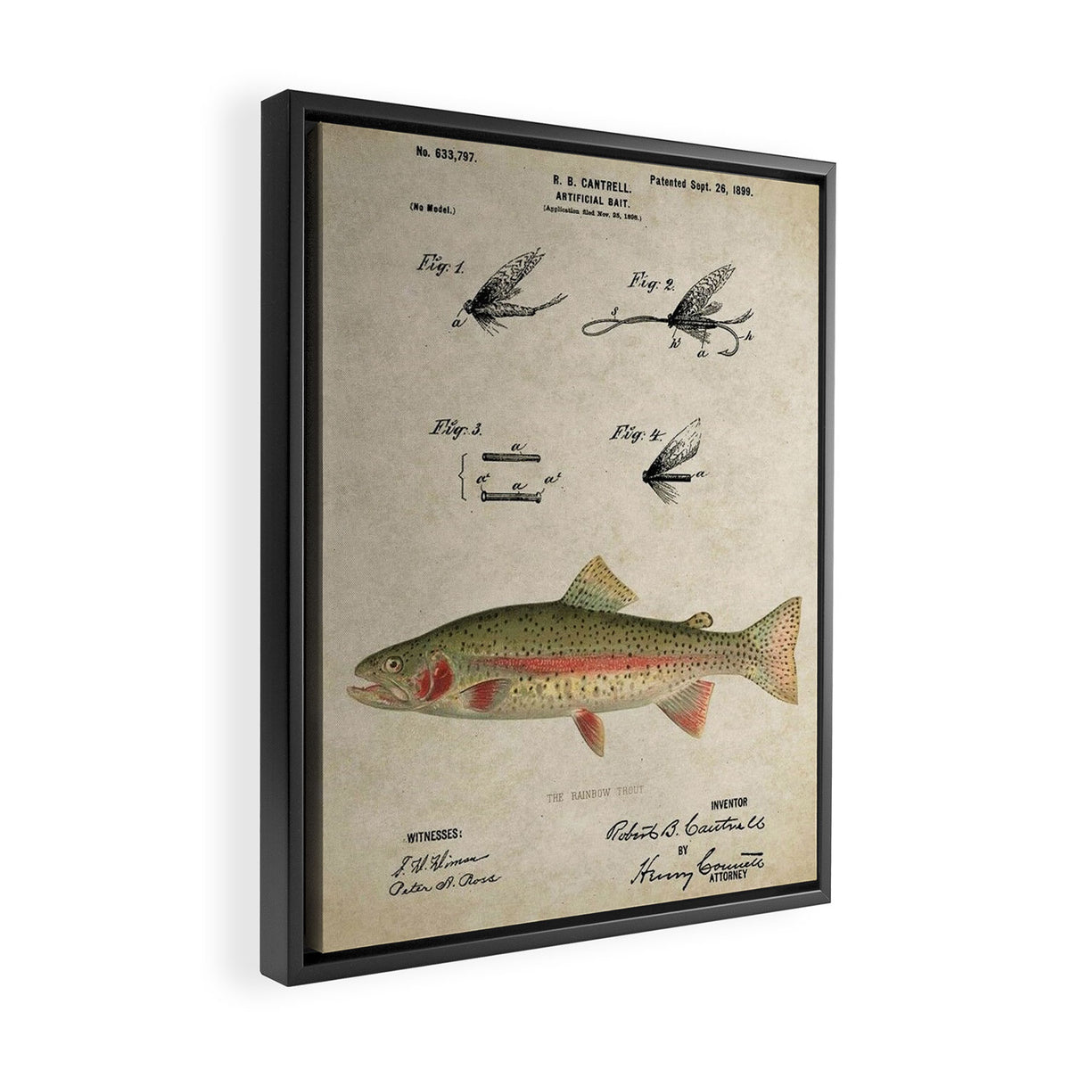 Vintage Rainbow Trout Fly Fishing Lure Patent Game Fish Identification Chart Framed Canvas Print Gallery Image 2