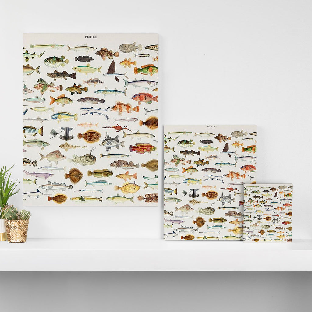 Illustrated Colorful Southern Pacific Exotic Game Fish Identification Chart Canvas Print Gallery Image 3