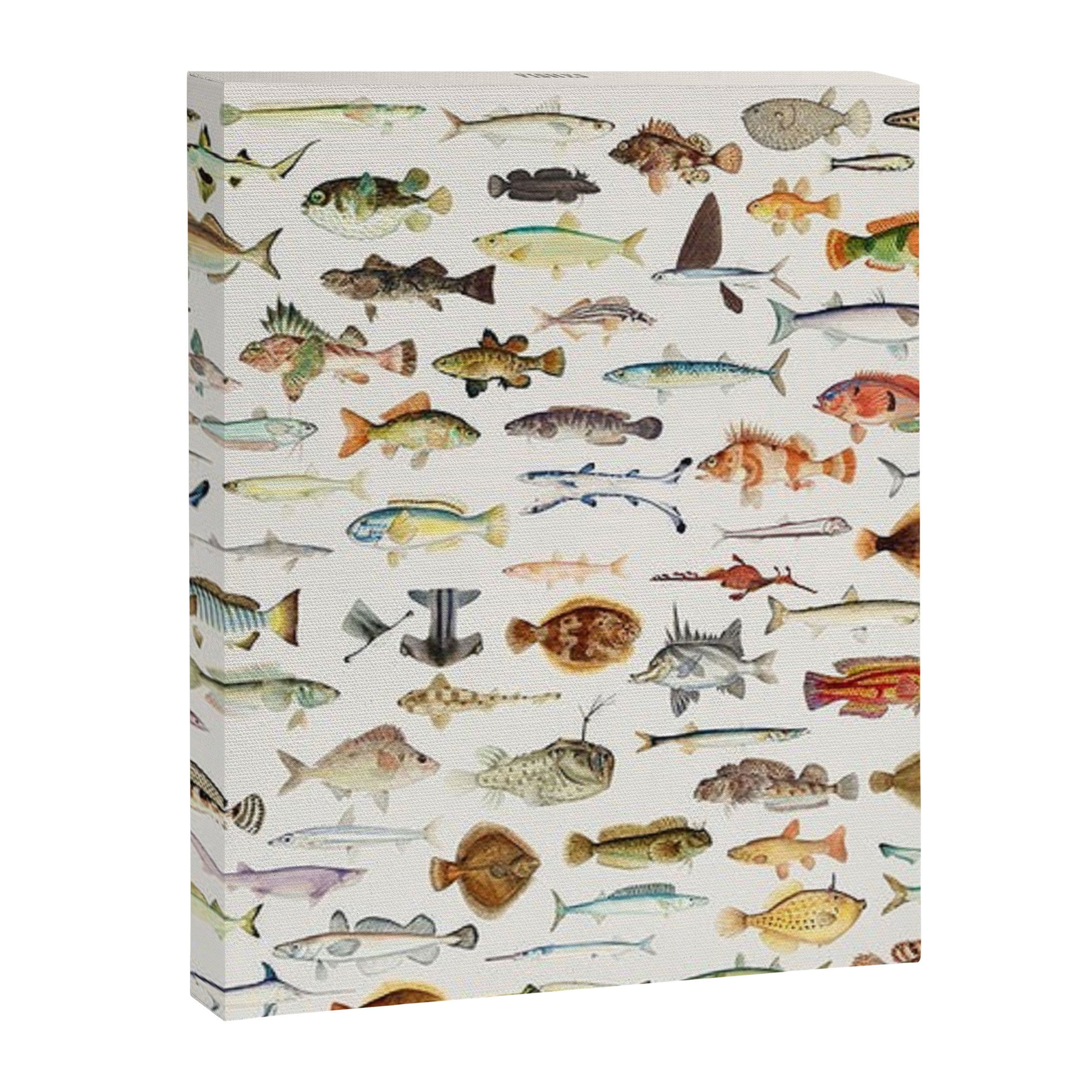 Illustrated Colorful Southern Pacific Exotic Game Fish Identification Chart Canvas Print Gallery Image 3