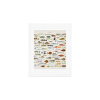 Illustrated Colorful Southern Pacific Exotic Game Fish Identification Chart Art Print Gallery Image 1