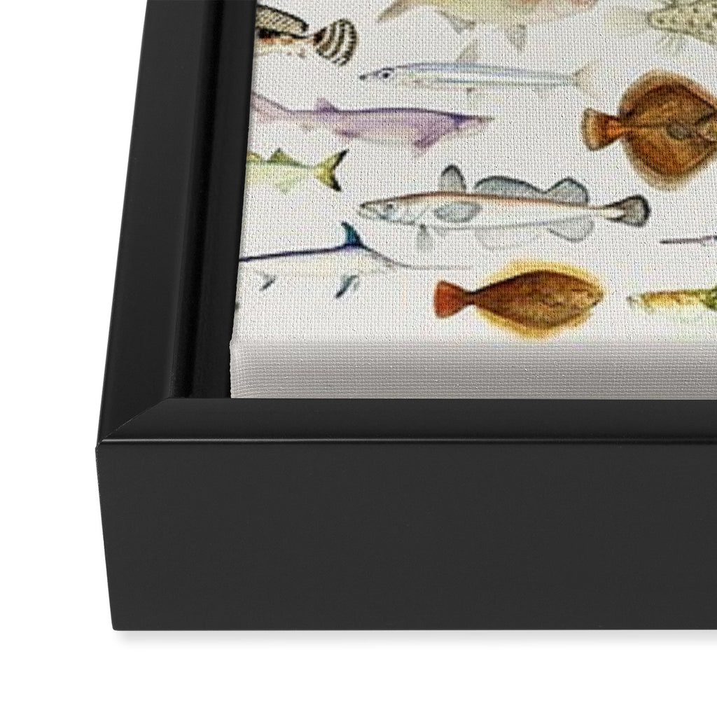 Illustrated Colorful Southern Pacific Exotic Game Fish Identification Chart Framed Canvas Print Gallery Image 3