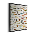 Illustrated Colorful Southern Pacific Exotic Game Fish Identification Chart Framed Canvas Print Gallery Image 2
