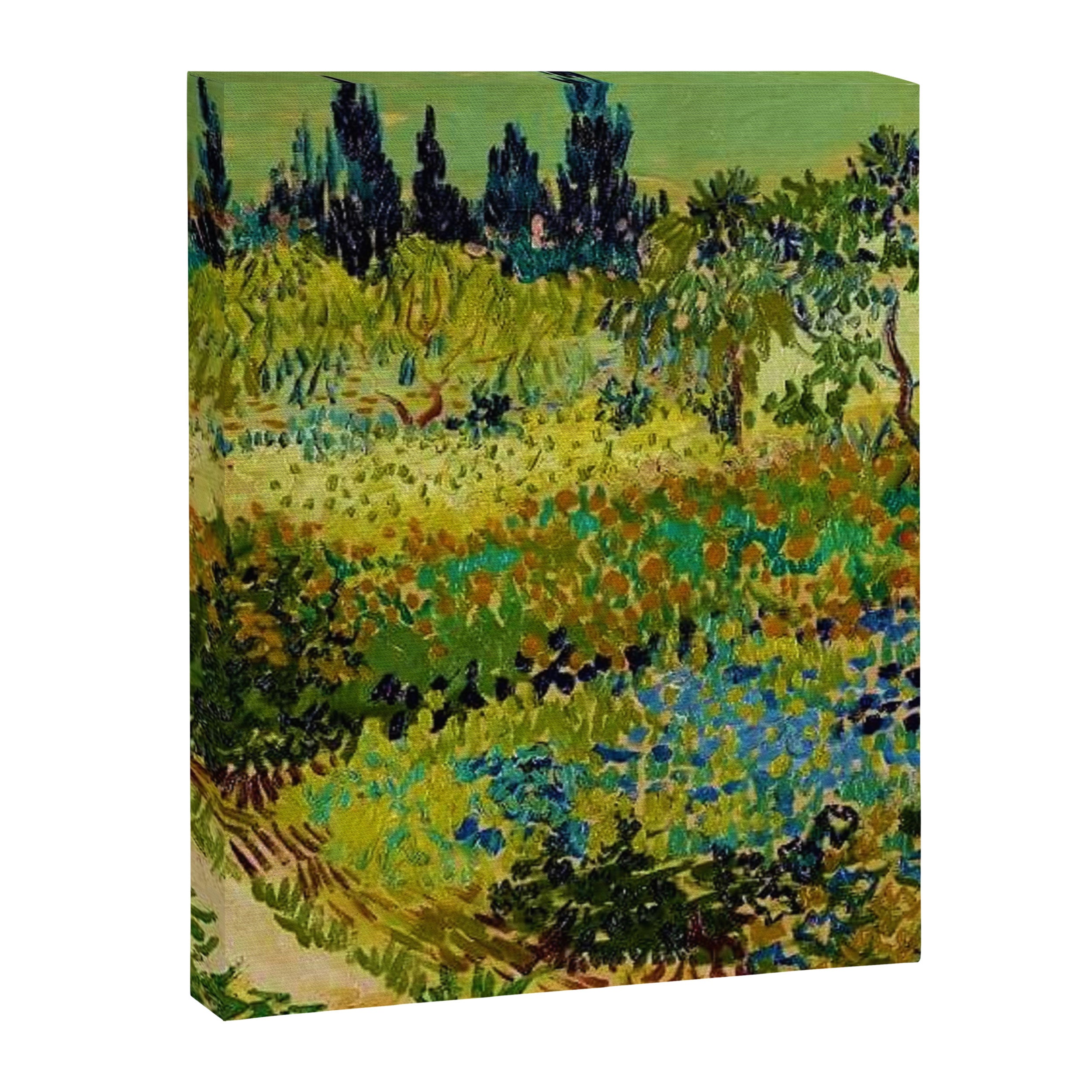 The Garden at Arles, France by Vincent Van Gogh Canvas Print Gallery Image 6