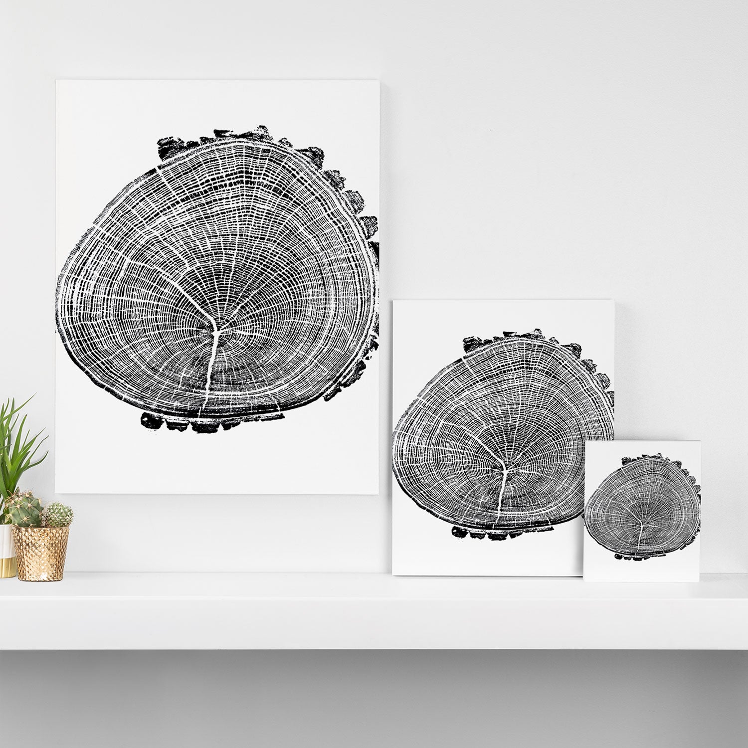 Eastern Ash - Tree ring ink woodblock print Canvas Print Gallery Image 3