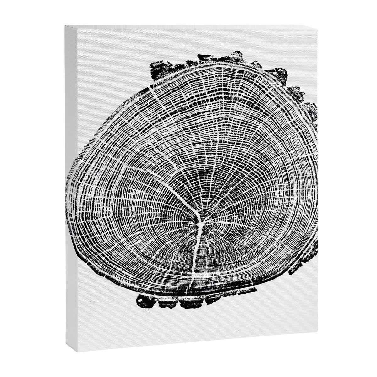 Eastern Ash - Tree ring ink woodblock print Canvas Print Gallery Image 6