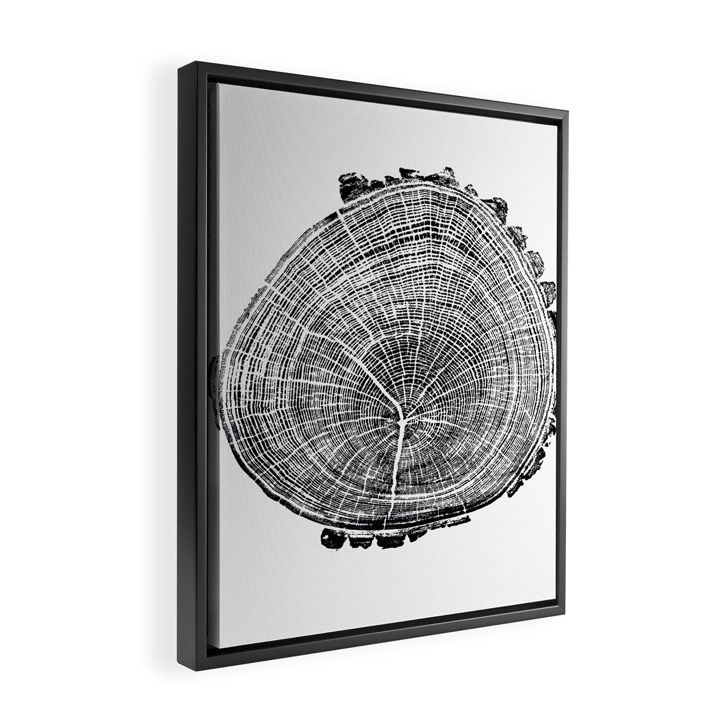 Eastern Ash - Tree ring ink woodblock print Framed Canvas Print Gallery Image 2