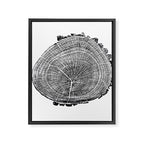 Eastern Ash - Tree ring ink woodblock print Framed Canvas Print Gallery Image 6