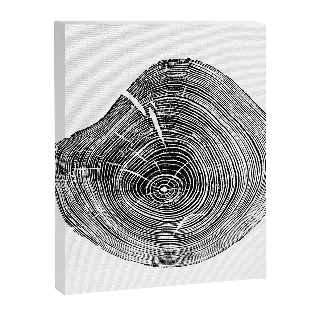 Loblolly Pine - Tree ring ink woodblock print Canvas Print Gallery Image 6