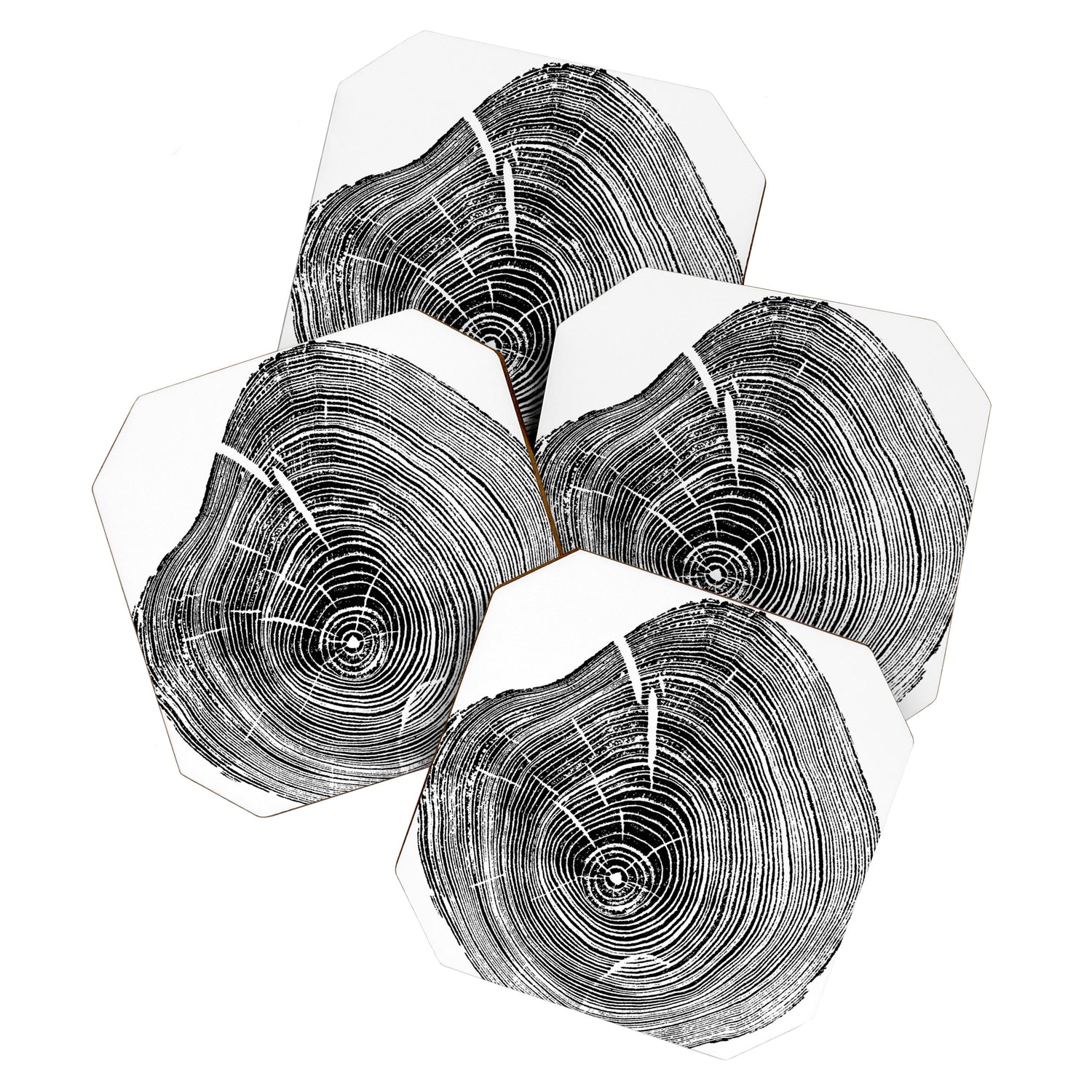 Loblolly Pine - Tree ring ink woodblock print Coaster Gallery Image 1