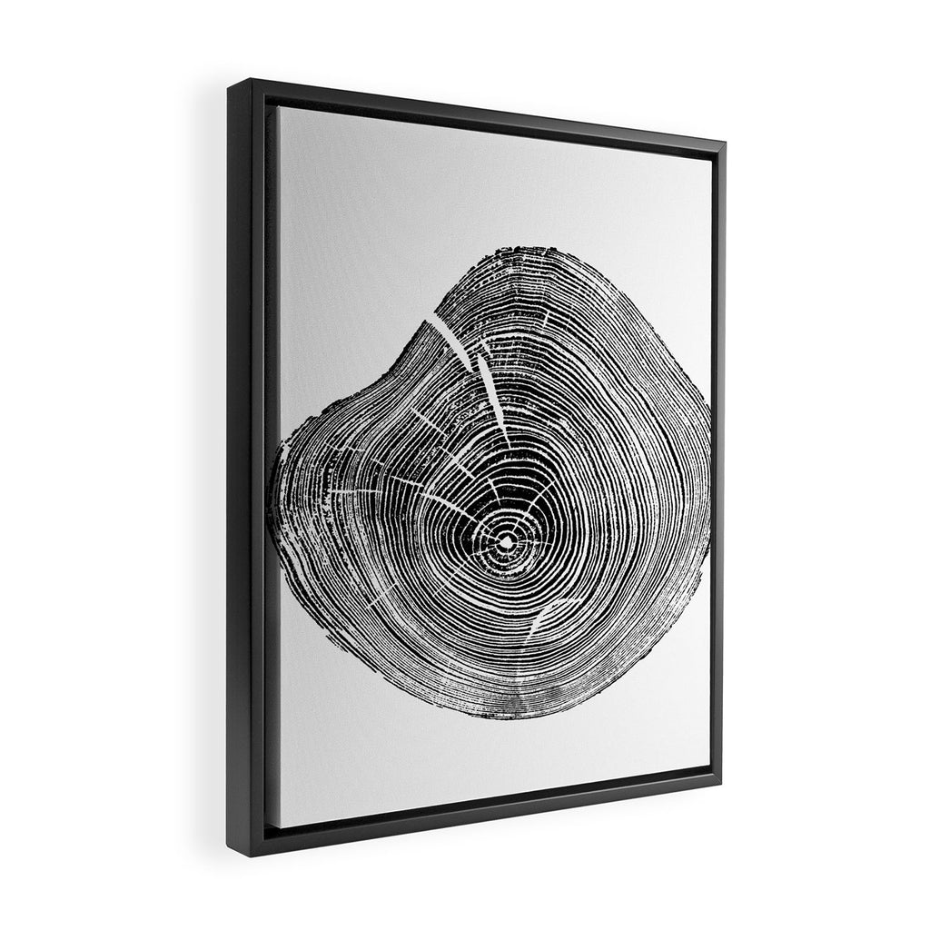 Loblolly Pine - Tree ring ink woodblock print Framed Canvas Print Gallery Image 2