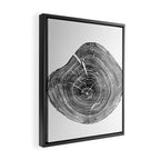 Loblolly Pine - Tree ring ink woodblock print Framed Canvas Print Gallery Image 2