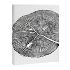 Shenandoah National Park, Oak - Tree ring ink woodblock print  Canvas Print Gallery Image 6