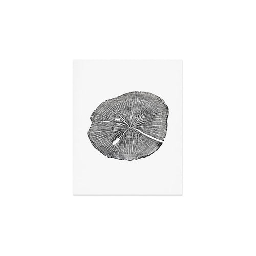 Shenandoah National Park, Oak - Tree Ring Ink Woodblock Print  Art Print Gallery Image 1
