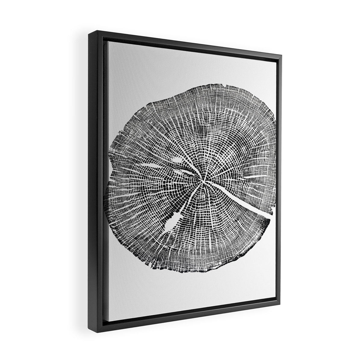 Shenandoah National Park, Oak - Tree ring ink woodblock print  Framed Canvas Print Gallery Image 2