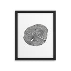 Shenandoah National Park, Oak - Tree ring ink woodblock print  Framed Art Print Gallery Image 4